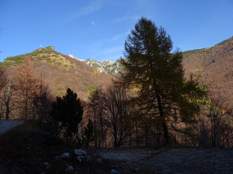 Cima Paln -Soglio dell'' Incudine.......Pasubio